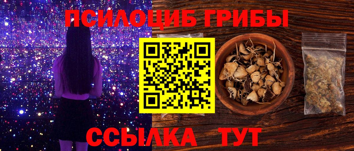 Донской  Псилоцибиновые грибы Cubensis  Вход с VPN 